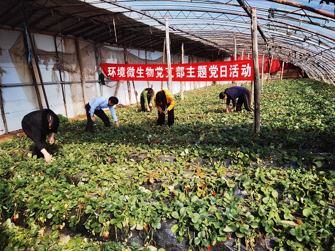 环境微生物支部践行助力乡村振兴使命