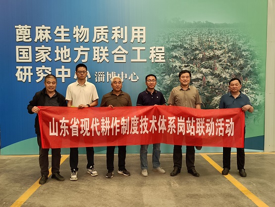 污染控制与环境修复团队实地调研蓖麻 重茬病害机制及生物质利用技术